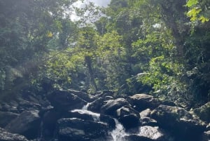 El Yunque: Caminhada em cachoeira escondida fora da trilha com transporte