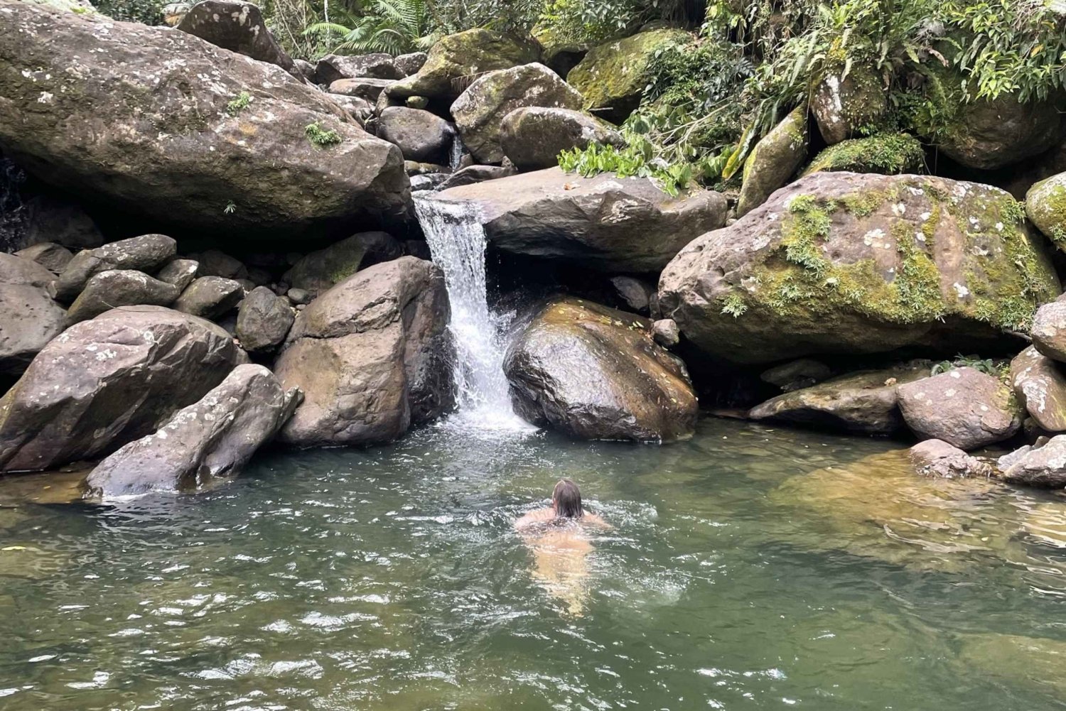 El Yunque: Verborgen watervalwandeling buiten het pad met vervoer