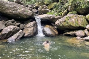 El Yunque: Versteckte Wasserfall-Wanderung abseits des Weges mit Transport