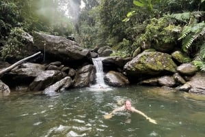 El Yunque: Versteckte Wasserfall-Wanderung abseits des Weges mit Transport