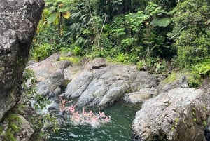 El Yunque hike ,river and water slides excursion