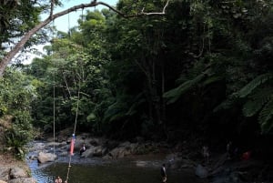 El Yunque hike ,river and water slides excursion