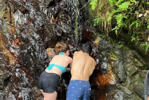 El Yunque hike ,river and water slides excursion