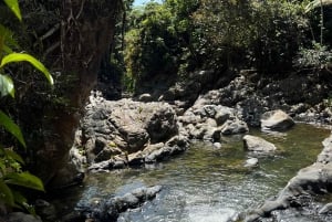 El Yunque hike ,river and water slides excursion