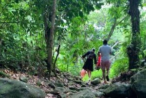 Nationella regnskogen El Yunque: Naturvandring och strandutflykt