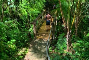 El Yunque National Rainforest: Naturwanderung und Strandausflug