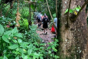 El Yunque nasjonale regnskog: Naturvandring og strandtur