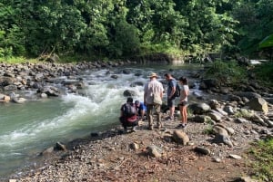 Forêt tropicale nationale d'El Yunque : Promenade dans la nature et excursion sur la plage