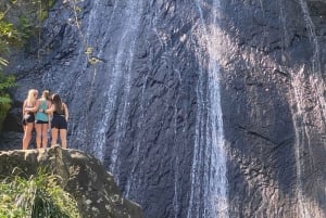 Forêt tropicale nationale d'El Yunque : Visite avec promenade dans la nature