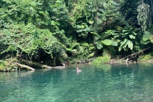 El Yunquen kansallinen sademetsä: Yunkun Yunque: Retki luontokävelyllä