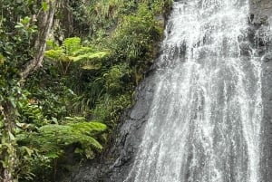 Narodowy las deszczowy El Yunque: wycieczka z przyrodą