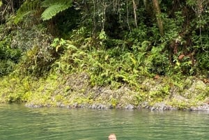 El Yunque National RainForest: Tur med naturvandring