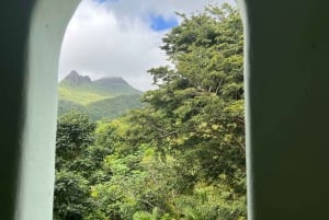 Forêt tropicale nationale d'El Yunque : Visite avec promenade dans la nature