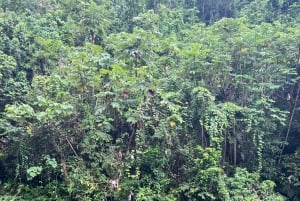 Narodowy las deszczowy El Yunque: wycieczka z przyrodą