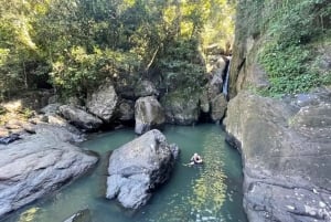 El Yunque & Piñones Tour; Hike, Eat and Chill like a Local