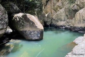 El Yunque & Piñones Tour; Hike, Eat and Chill like a Local