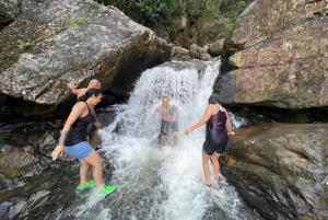 El Yunque & Piñones Tour; Hike, Eat and Chill like a Local