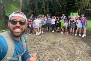 San Juan: El Yunque Rainforest and Luquillo Beach Day Tour