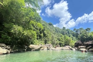 San Juan: El Yunque Rainforest and Luquillo Beach Day Tour