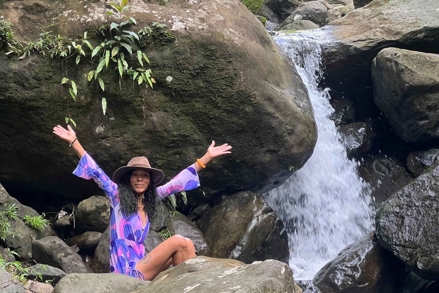 La forêt tropicale et les cascades d'El Yunque : végétation et paysages