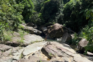 La forêt tropicale et les cascades d'El Yunque : végétation et paysages