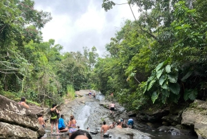 La forêt tropicale et les cascades d'El Yunque : végétation et paysages