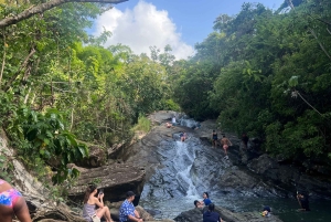 La forêt tropicale et les cascades d'El Yunque : végétation et paysages