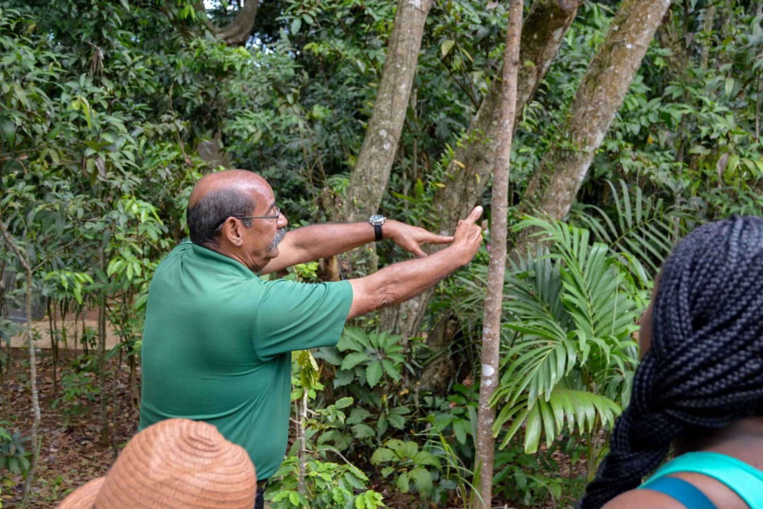 Porto Rico: Excursão turística de meio dia a El Yunque com traslado