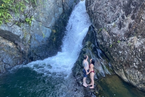 Fajardo: El Yunque Rainforest Hike and Waterslide Adventure