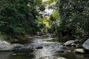 Fajardo: Excursión al Bosque de El Yunque, Cascadas y Tobogán de Agua