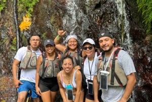 Fajardo : Randonnée dans la forêt d'El Yunque, chutes d'eau et toboggan aquatique