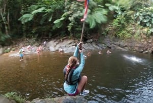 Fajardo: El Yunque Boswandeling, Watervallen & Waterglijbaan Tour