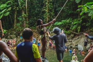 El Yunque Rainforest Hike & Waterslide VIP Small group tour