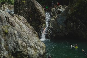 El Yunque Rainforest Hike & Waterslide VIP Small group tour