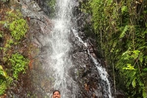 El Yunque Rainforest Hike & Waterslide VIP Small group tour
