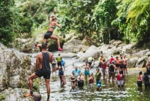El Yunque Rainforest Hike & Waterslide VIP Small group tour