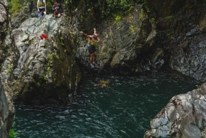 El Yunque Rainforest Hike & Waterslide VIP Small group tour