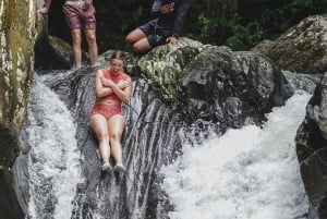 El Yunque Rainforest Hike & Waterslide VIP Small group tour