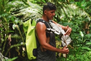 El Yunque Rainforest Hike & Waterslide VIP Small group tour