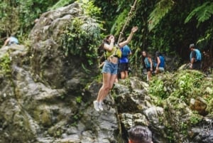 El Yunque Rainforest Hike & Waterslide VIP Small group tour