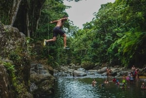 El Yunque Rainforest Hike & Waterslide VIP Small group tour