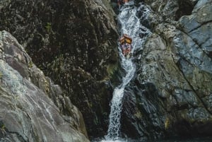 El Yunque Rainforest Hike & Waterslide VIP Small group tour