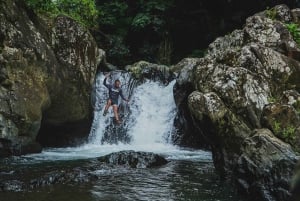 El Yunque Rainforest Hike & Waterslide VIP Small group tour