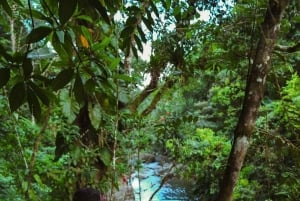 El Yunque Rainforest Hike & Waterslide VIP Small group tour