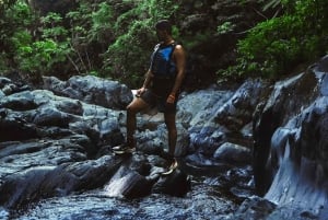 El Yunque Rainforest Hike & Waterslide VIP Small group tour