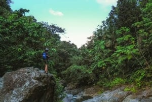 El Yunque Rainforest Hike & Waterslide VIP Small group tour
