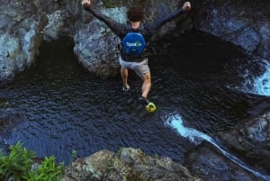 El Yunque Rainforest Hike & Waterslide VIP Small group tour