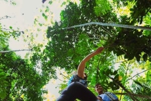 El Yunque Rainforest Hike & Waterslide VIP Small group tour