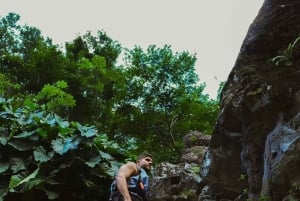 El Yunque Rainforest Hike & Waterslide VIP Small group tour