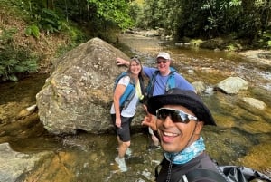 Vannrutsjebaner og taubane i El Yunque-skogen